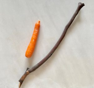 Regulatory approaches: carrot or stick?